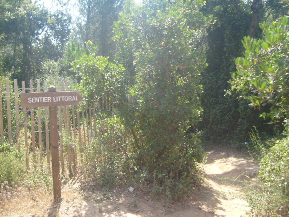 Les Soleiades Διαμέρισμα La Londe-les-Maures Εξωτερικό φωτογραφία